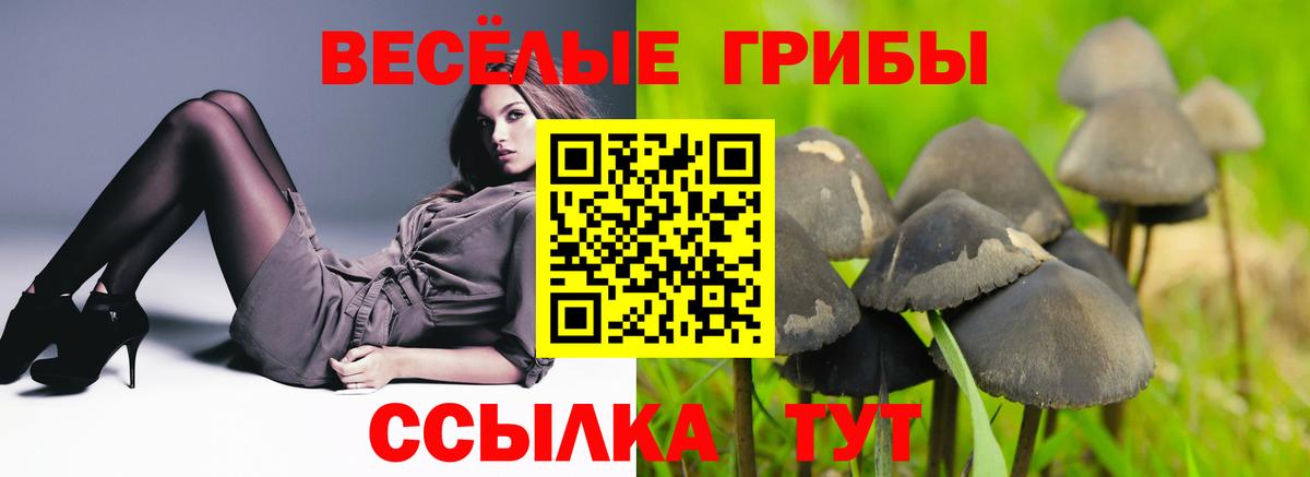 Усинск  Галлюциногенные грибы ЛСД  где найти наркотики  Вход с VPN  Галлюциногенные грибы мухоморы 